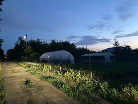 Teren agricol de vânzare, în Ileana