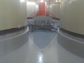 Vânzare ferma în Husi, Corni