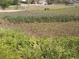 Teren constructii de vânzare, în Chicerea