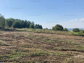 Teren constructii de vânzare, în Valea Lupului