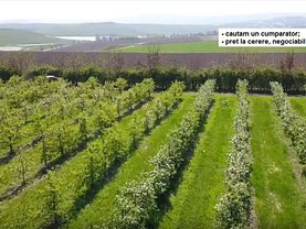 Teren livada de vânzare, în Deleni