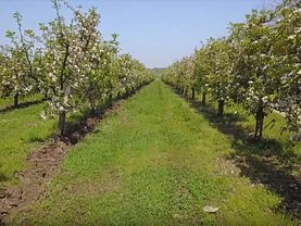 Teren livada de vânzare, în Deleni