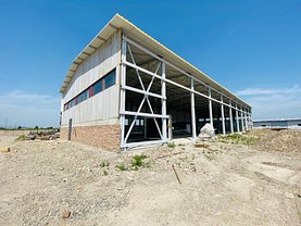 Închiriere spaţiu industrial