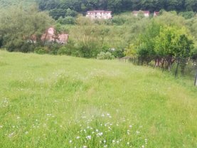 Teren agricol de vânzare în Floresti