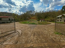 Vânzare ferma în Brad, Sud