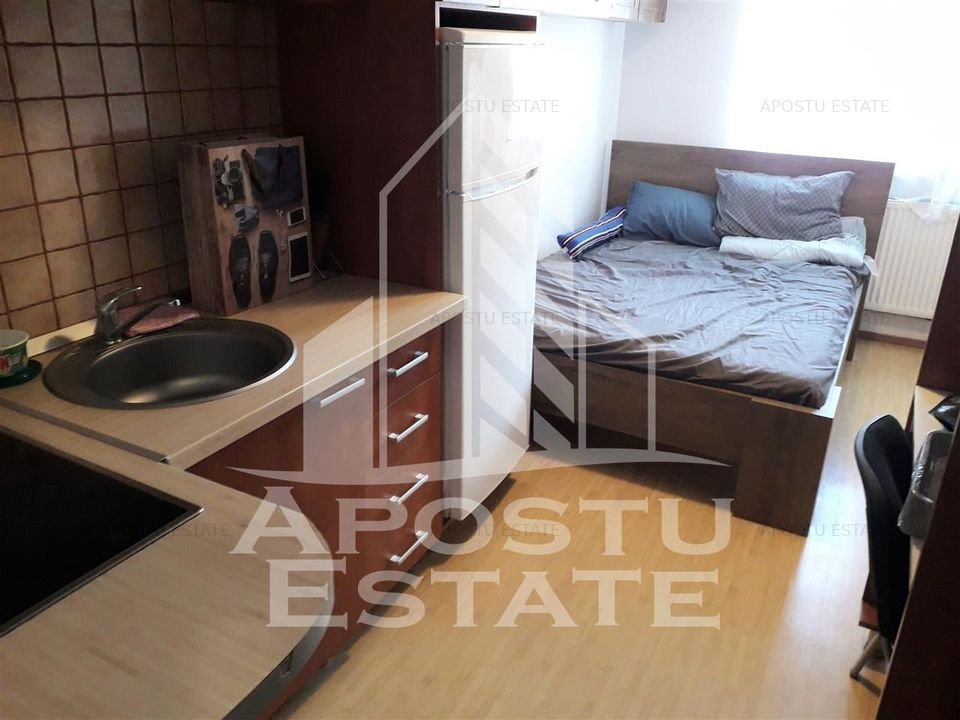 Garsoniera Buziasului