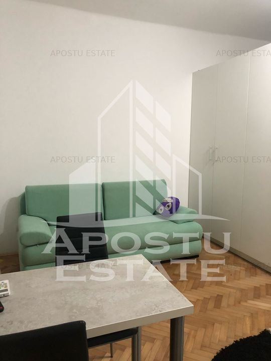 Apartament 1 camera la curte, zona Take Ionescu/Barnutiu