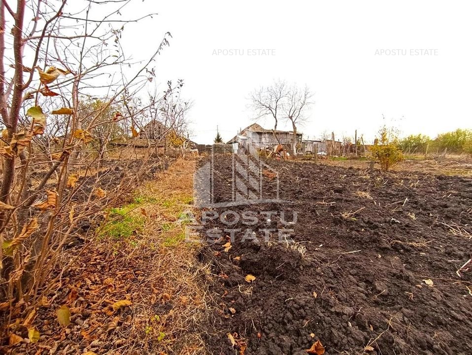 Teren 1000mp Cu Utilitati Dudesti Noi