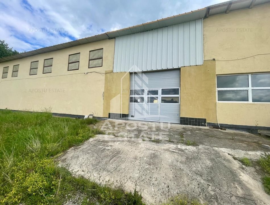 Spatii productie si depozitare, zona Sebis - Prunisor-Carand