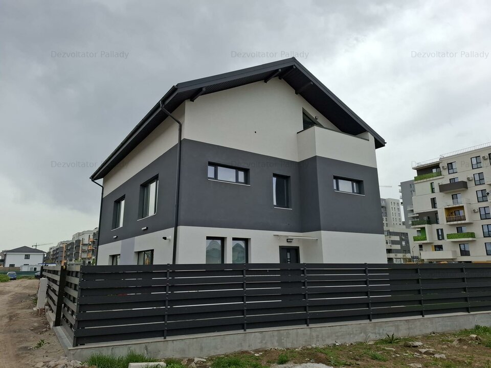 Duplex/Theodor Pallady
