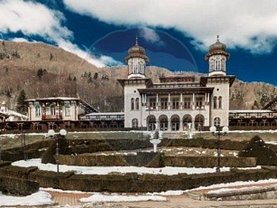 Vânzare ferma în Slanic-Moldova, Ultracentral