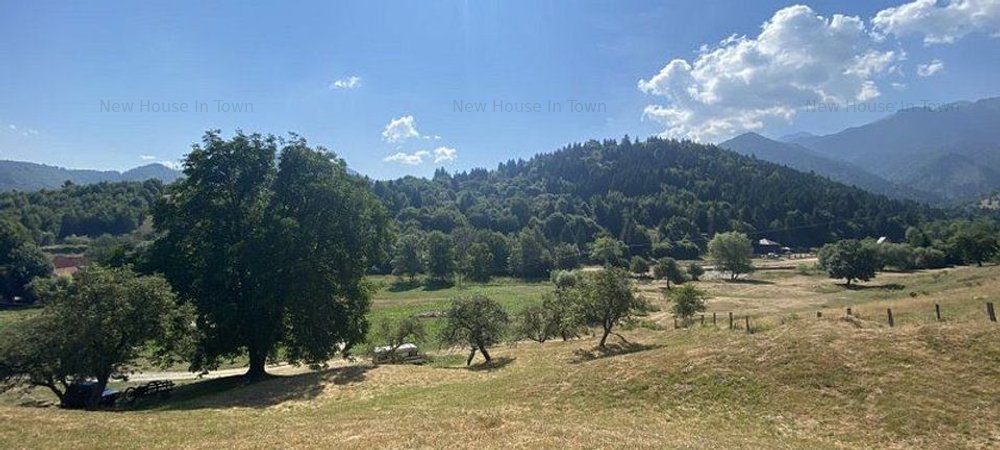 Vanzare teren extravilan Rasnov zona Glajerie - imaginea 0 + 1
