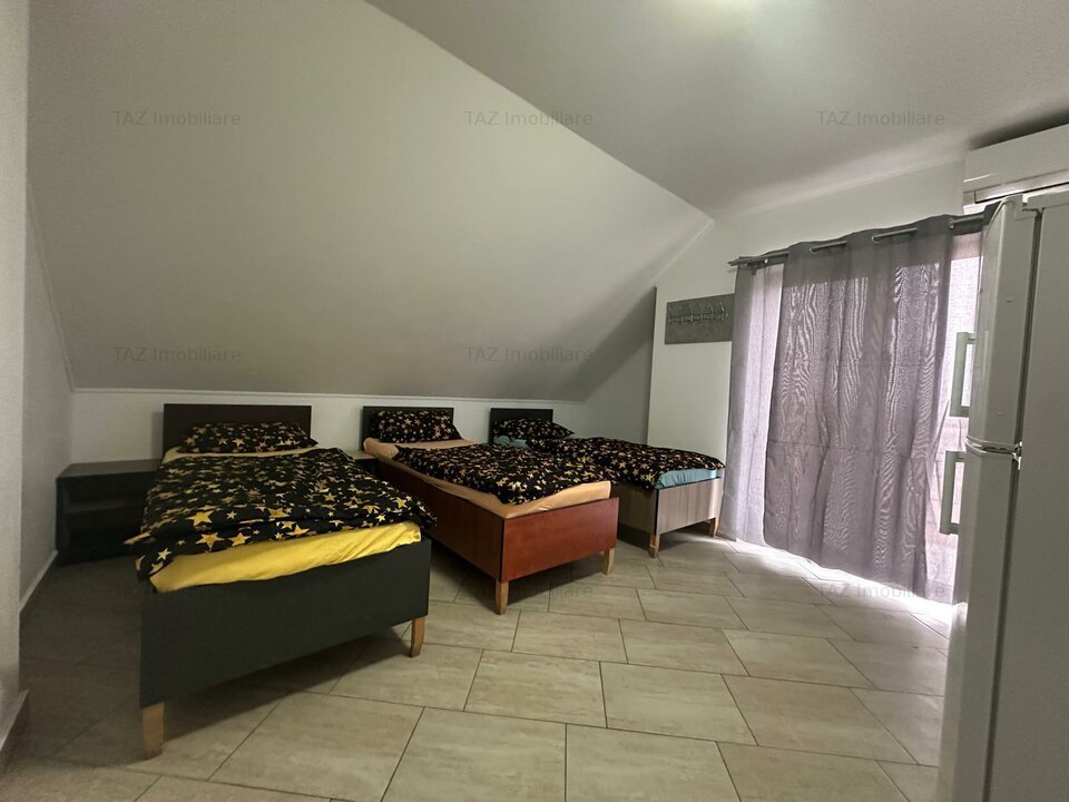 Sanandrei - 2 Case + Teren