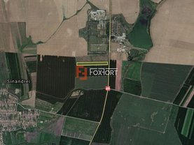 Teren agricol de vânzare, în Sânandrei