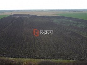 Teren constructii de vânzare, în Sanmihaiu Roman, zona Central