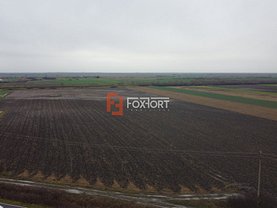 Teren constructii de vânzare, în Sânmihaiu Român, zona Central