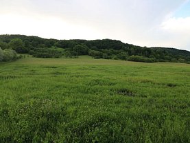 Teren agricol de vânzare, în Bradu