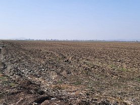Teren agricol de vânzare, în Prejmer