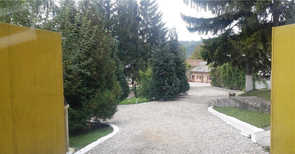 Oferta! De vanzare proprietate cu izvoare minerale Pucioasa