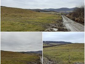 Teren agricol de vânzare, în Bistriţa, zona Nord-Vest