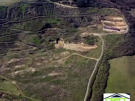 Teren agricol de vânzare în Bistrita, Vest