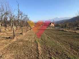 Teren agricol de vânzare, în Sadu