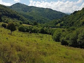Teren faneata de vânzare, în Sadu