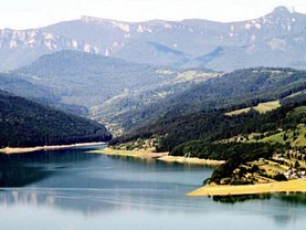 Teren faneata de vânzare, în Bistricioara
