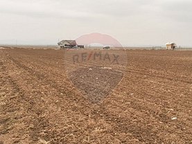 Teren agricol de vânzare în Tarlungeni