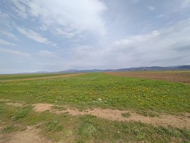 Teren agricol de vânzare, în Tărlungeni