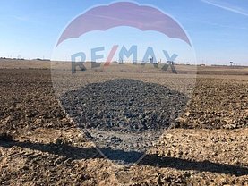 Teren agricol de vânzare, în Albota