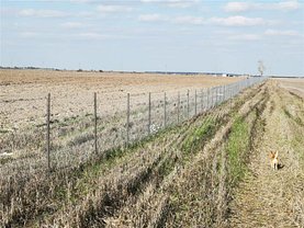 Teren agricol de vânzare, în Bragadiru, zona Central
