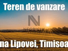 Teren constructii de vânzare, în Timişoara, zona Lipovei