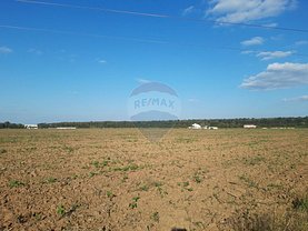 Teren agricol de vânzare, în Tâncăbeşti