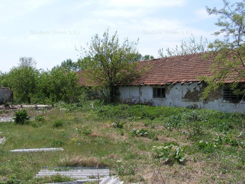 Vand teren agricol in Teleorman-Radoiesti/Cetate-Comision 0! Proprietar direct!