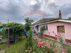 Casa de vânzare 3 camere, în Serbesti