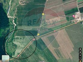 Teren agricol de vânzare, în Dărmăneşti