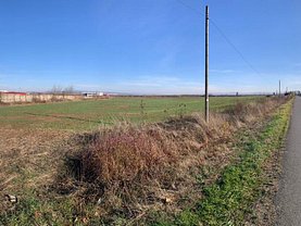 Teren agricol de vânzare, în Sacadat
