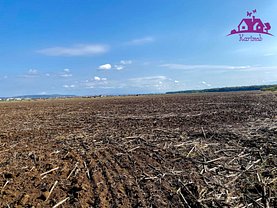 Teren agricol de vânzare, în Nojorid, zona Central