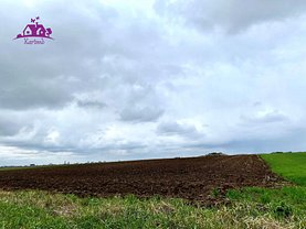 Teren agricol de vânzare, în Nojorid, zona Central