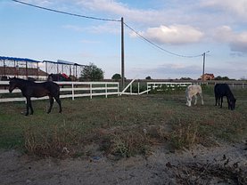 Teren constructii de vânzare, în Timişoara, zona Aradului