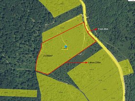 Teren agricol de vânzare în Ciurila
