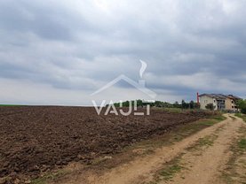 Teren agricol de vânzare, în Belciugatele, zona Vest