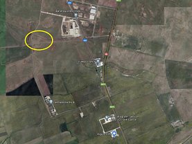 Teren agricol de vânzare, în Timişoara, zona Aradului