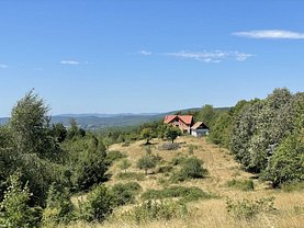 Teren padure de vânzare, în Bârzava