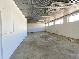 Închiriere spaţiu industrial în Giroc, Exterior Sud