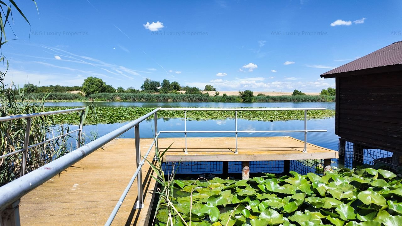 Vila de Lux cu Deschidere la Lac Snagov