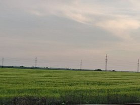 Teren agricol de vanzare, în Timisoara, zona Torontalului