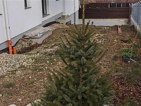 Apartament de vânzare 3 camere, în Cluj-Napoca, zona Europa