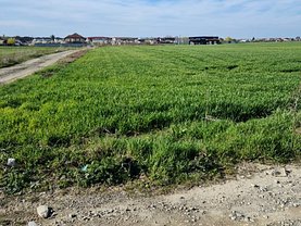 Teren constructii de vânzare, în Balotesti
